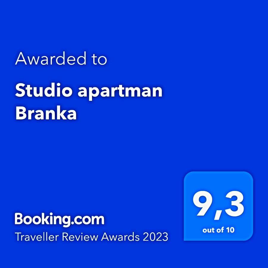 Studio Apartman Branka Labin  Kültér fotó