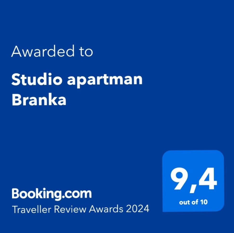 Studio Apartman Branka Labin  Kültér fotó